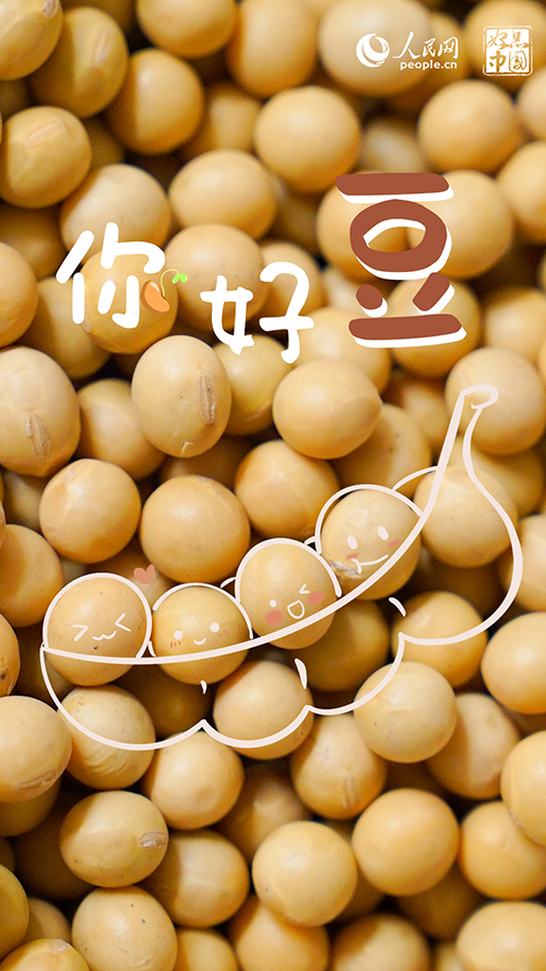 好品中国丨大豆摇铃千里金 “粮”辰美景迎丰年